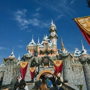 Meet your Posher, Irma